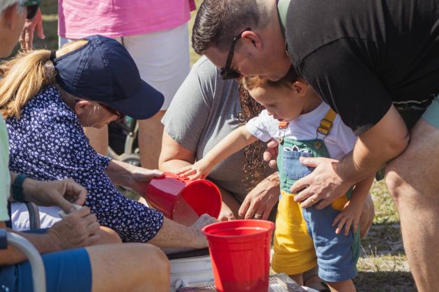 Turtle Fest 2026. Photo by Marisa DeMar/News-Leader