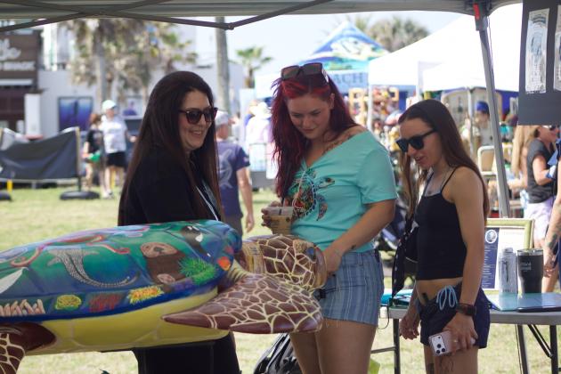Turtle Fest 2026. Photo by Marisa DeMar/News-Leader