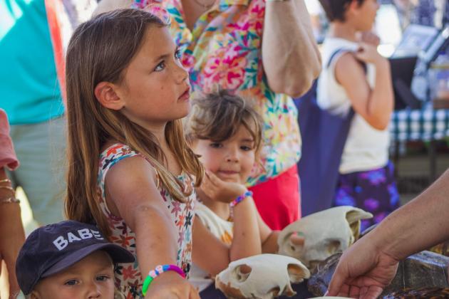 Turtle Fest 2026. Photo by Marisa DeMar/News-Leader
