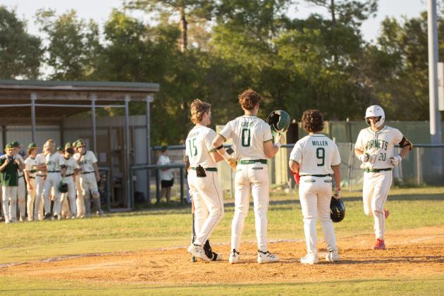 The Hornets celebrate following a three-run homerun by Daylon Adams in Tuesday’s 10-3 district tournament quarterfinal win over Terry Parker.