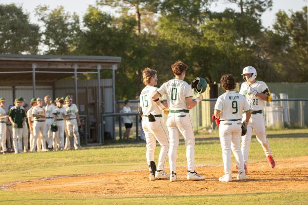 The Hornets celebrate following a three-run homerun by Daylon Adams in Tuesday’s 10-3 district tournament quarterfinal win over Terry Parker.