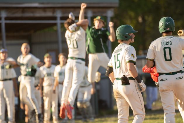 The Hornets celebrate following a three-run homerun by Daylon Adams in Tuesday’s 10-3 district tournament quarterfinal win over Terry Parker.