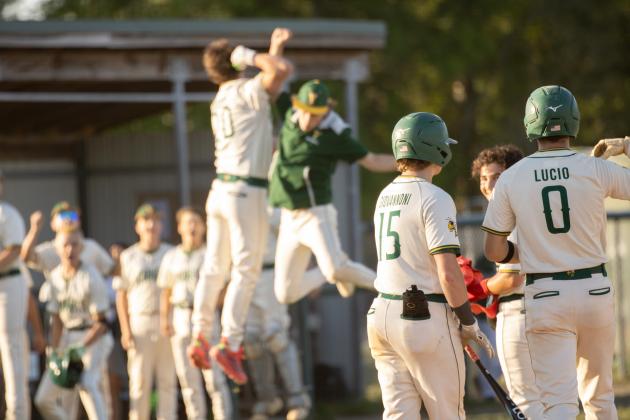 The Hornets celebrate following a three-run homerun by Daylon Adams in Tuesday’s 10-3 district tournament quarterfinal win over Terry Parker.