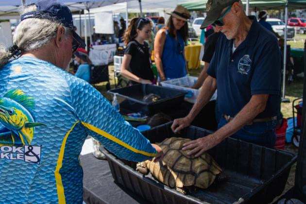 The Wild Amelia Nature Festival Eco Expo and Nassau County's Opening of the Beaches event were held Saturday at Main Beach Park. Photo by Ashley Chandler/News-Leade