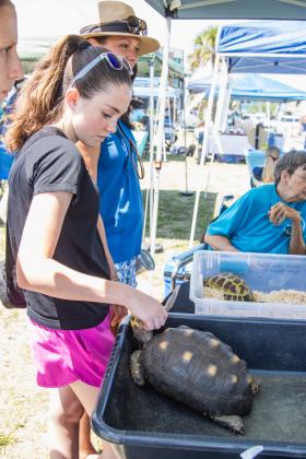 The Wild Amelia Nature Festival Eco Expo and Nassau County's Opening of the Beaches event were held Saturday at Main Beach Park. Photo by Ashley Chandler/News-Leade