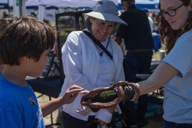 The Wild Amelia Nature Festival Eco Expo and Nassau County's Opening of the Beaches event were held Saturday at Main Beach Park. Photo by Ashley Chandler/News-Leade