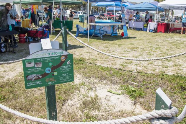 The Wild Amelia Nature Festival Eco Expo and Nassau County's Opening of the Beaches event were held Saturday at Main Beach Park. Photo by Ashley Chandler/News-Leader