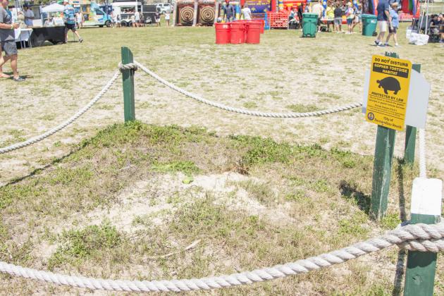 The Wild Amelia Nature Festival Eco Expo and Nassau County's Opening of the Beaches event were held Saturday at Main Beach Park. Photo by Ashley Chandler/News-Leader