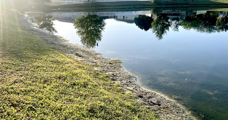 Water levels continue to stay down in ponds across Nassau County despite recent rainfall. Photo by Amy Mulligan/News-Leader