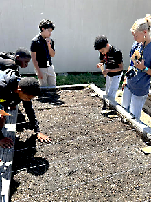 FBMS students plant flowers and vegetables in raised beds to beautify the campus and learn more about plants. Submitted photo