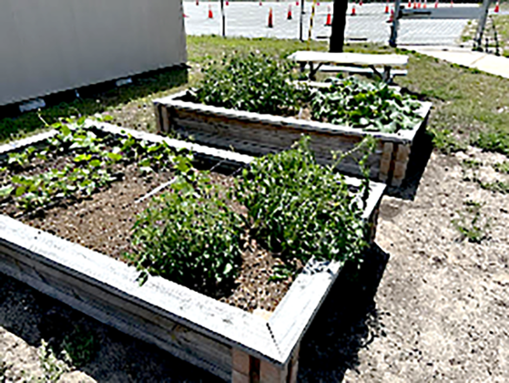 FBMS students plant flowers and vegetables in raised beds to beautify the campus and learn more about plants. Submitted photo