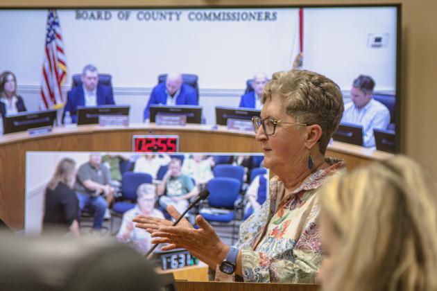 The Nassau County Fact Finding Committee held its first workshop Monday at the James S. Page Governmental Complex. Photo by Ashley Chandler/News-Leader
