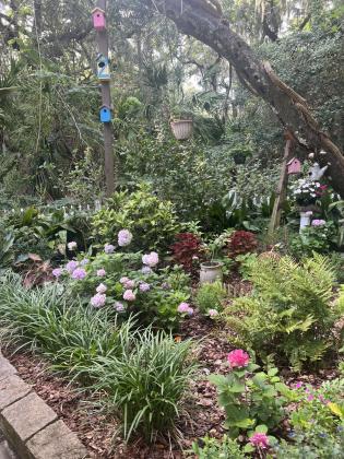 Claudia Burningham’s Garden. Submitted