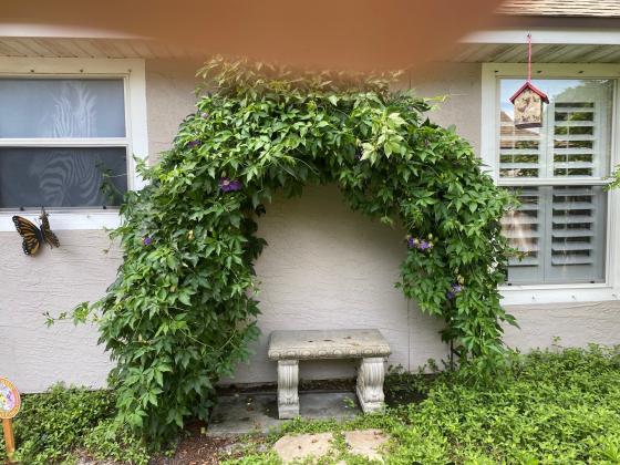 Karen Reily’s Garden. Submitted