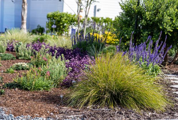 Local resident Pam Dawson’s entire front and back garden are a considered Florida-friendly landscape by the University of Florida. Submitted photo