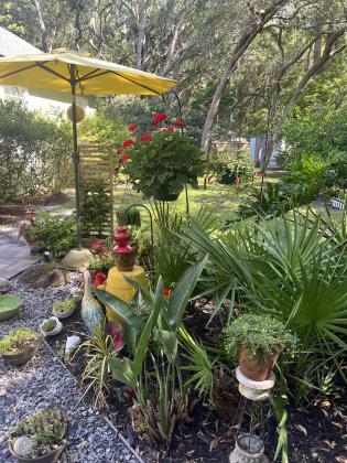 Sandy Neuss’ Garden. Submitted