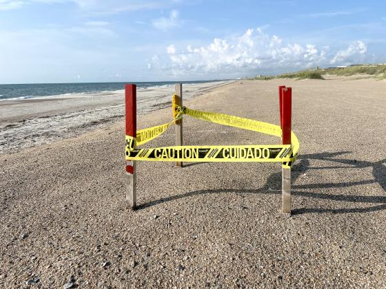 A sea turtle nest is marked on Fernandina Beach. 