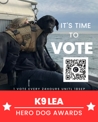 K9 Lea is a finalist in the Military category of The American Humane Hero Dog Awards, which the organization said celebrates 'ordinary dogs that do extraordinary things.' Voting is open until Sept. 18