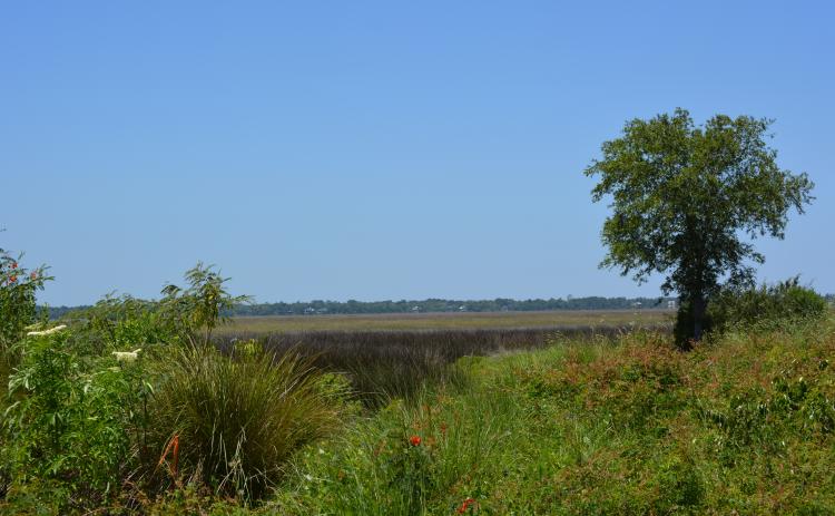 A 5.45-acre parcel at 1467 S. Fourth St. in Fernandina Beach could include town homes, according to preliminary plans shared by developers.