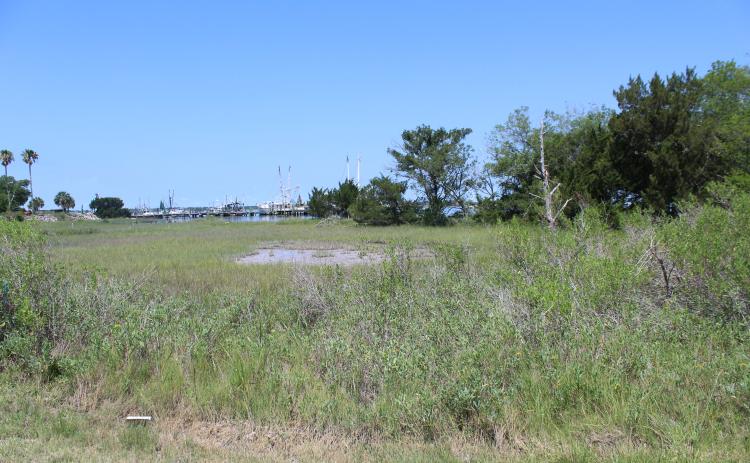 This property on the Amelia River waterfront is owned by Amelia Island Development Company, which says it has laid undeveloped due to undue encumbrances on using wetland property, including a prohibition on fill of any kind.