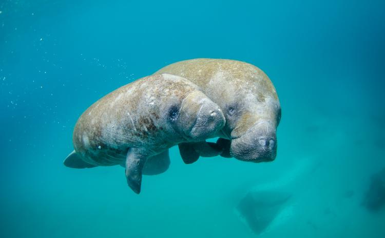 Photo by NOAA. Licensed under Unsplash.