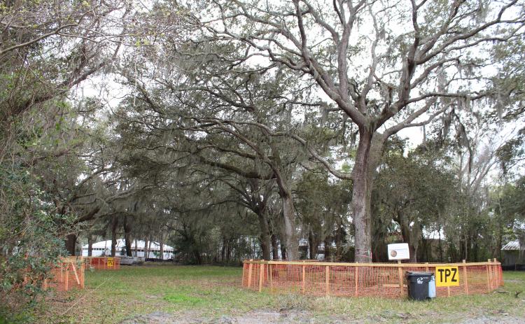 This property is the proposed site of Breakers RV Park at the corner of Ryan and Sadler roads. Residents of the neighborhood are fighting the development, saying the road is not wide enough to accommodate large vehicles, which will inevitably drive into the Pirates Bay subdivision. Photo by Julia Roberts