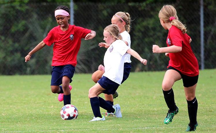 Children play on Ybor Alvarez soccer fields. The city of Fernandina Beach wants to secure a lease to retain the fields for use Amelia Island Youth Soccer. Photo by Beth Jones/News-Leader