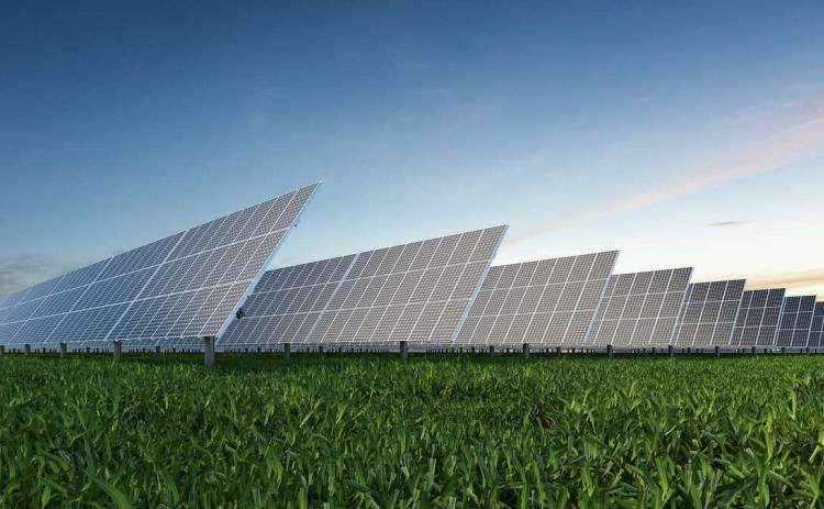 FPU gauges interest in solar farm at Amelia River Golf Club. File photo