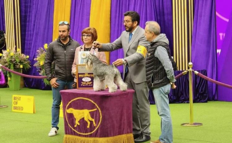 From left, Octavio Martinez, AKC Terrier Group Judge Kathleen J. Ferris, Handler Ernesto Lara and the elder Octavio Martinez. Submitted photo