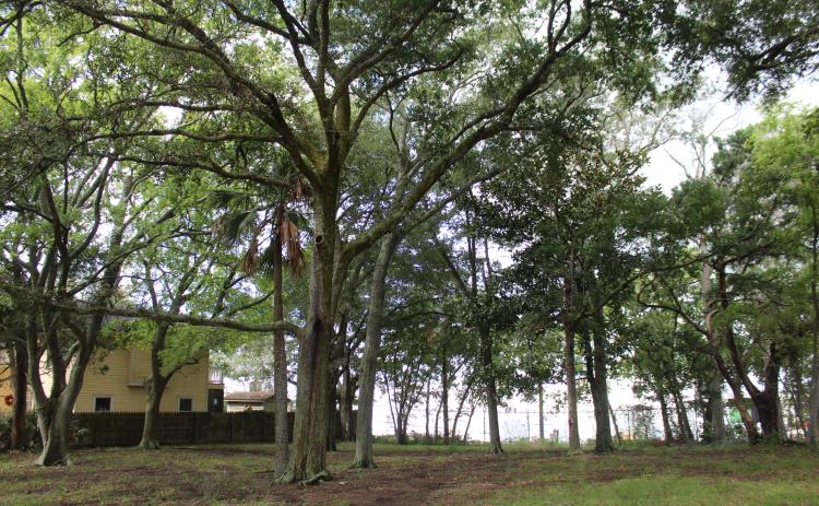 The Ocean Highway and Port Authority hired real estate agent to begin the process of selling this lot adjacent to the Port of Fernandina, along with other parcels in the Fernandina Beach Historic District. Nearby property owners want OHPA to ensure development on the property keeps the character of the neighborhood through deed restrictions placed on the lots. Photo by Julia Roberts/News-Leader