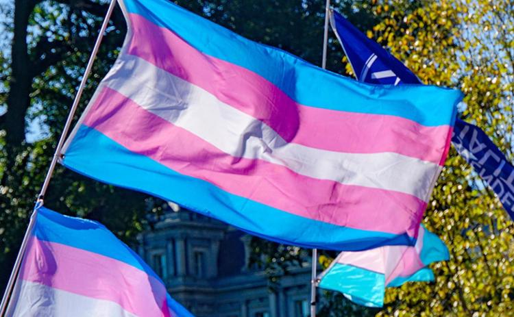 Judge backs teacher in trans student case. Submitted photo