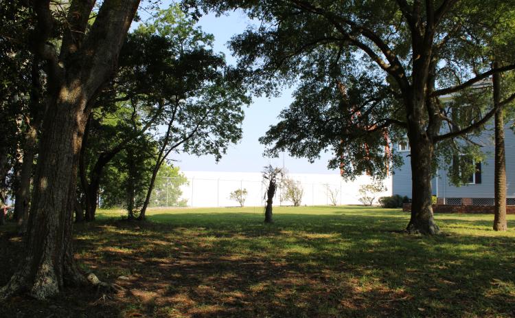 Residents who live near the Port of Fernandina say a new fabric warehouse built by port operator Nassau Terminals blocks the view of the Amelia River they have enjoyed for years. Photo by Julia Roberts/News-Leader