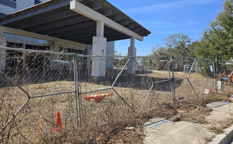 This site, just over the Shave Bridge on Amelia Island, has been found in violation of the codes of Fernandina Beach; the owner has been put on notice by Code Enforcement to clean it up or pay fines. Photo by Julia Roberts/News-Leader