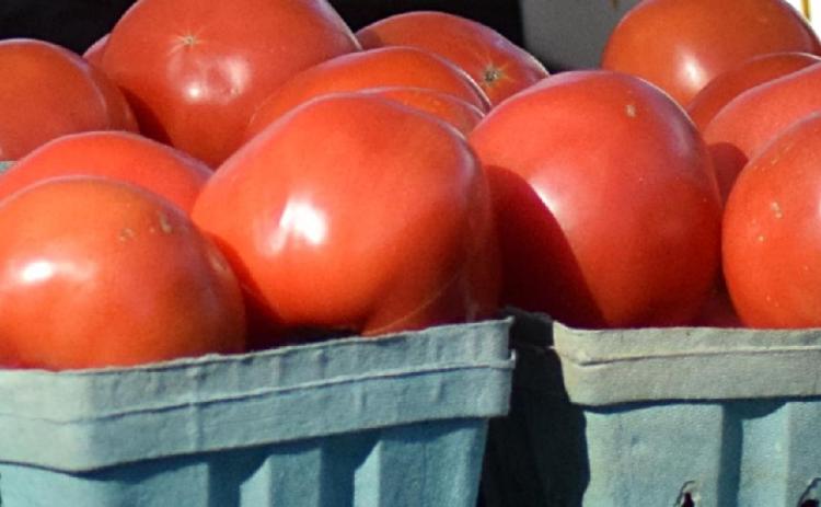 Wildlight skincare vendor Marriah's Homemade Skincare will be featured at the Fernandina Beach Market Place this Saturday, where musician Bryan Jarvis is scheduled to perform. Farm fresh tomatoes will be available for purchase at both the Fernandina Beach and Wildlight market locations. Submitted
