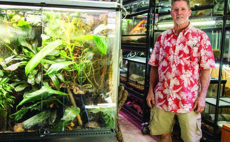 Sam Johnson of Sam's Flying Frog Ranch shows off reptiles and amphibians in his shop located in Yulee. Photo by Ashley Chandler/News-Leader