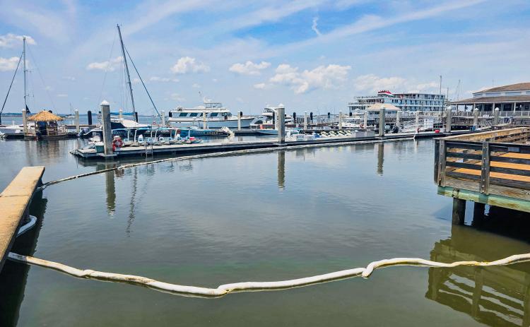 Moran Environmental Recovery uses an absorbent boom at the Fernandina Harbor Marina on Monday after a gasoline spill in the water. How much fuel was spilled and how it will affect water quality has not been released. Photo by Ashley Chandler/News-Leader