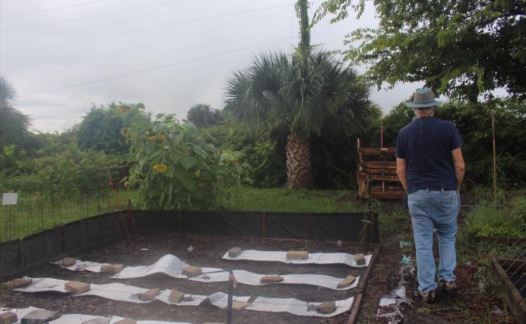 Dan Groth walking through a part of the Airport Garden  By Marisa DeMar/News-Leader
