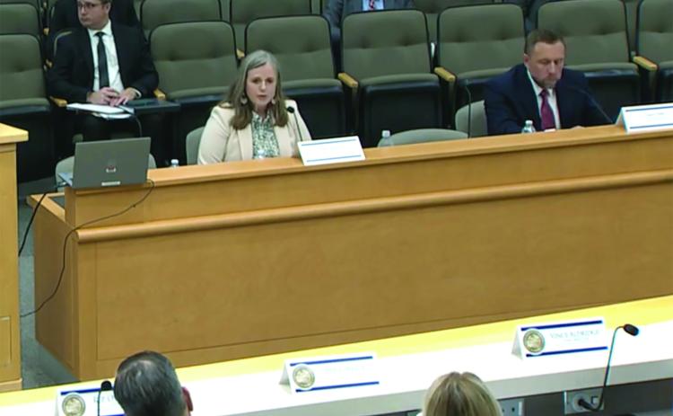 City Manager Sarah Campbell speaks at the House Select Committee on Property Taxes in the Florida House of Representatives on Tuesday.. photo from screenshot
