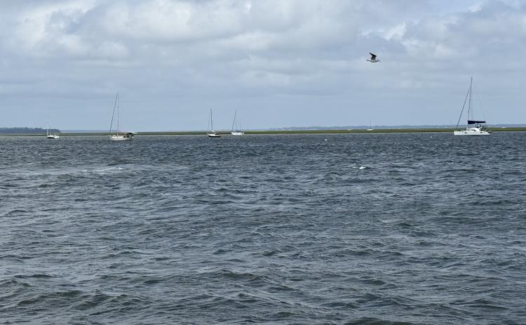 The maximum depth of the Fernandina Harbor is 36 feet.
