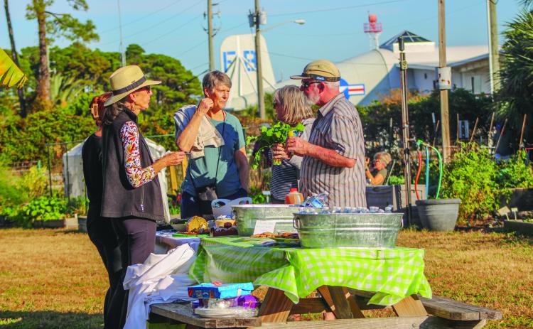 Photos by Marisa DeMar/News-Leader The Airport Garden Group hosts their open house at the Airport Gardens in Fernandina Beach on Saturday.