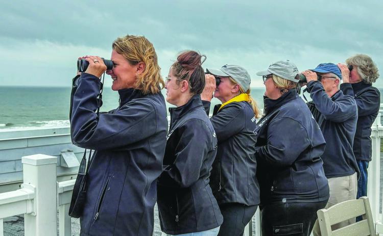 Amelia Island Whale Ambassadors celebrate the first whale sighting at the Seaside Amelia Inn on Tuesday, Dec. 2. By Marisa DeMar