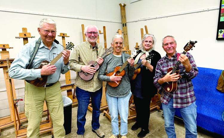 Fernandina Ukulele Network members