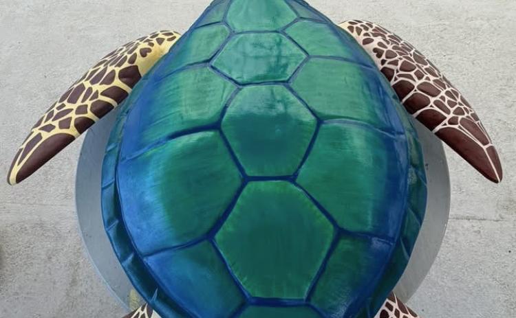 Tina McDaniel makes progress on the 5-foot long sea turtle known as Scout.