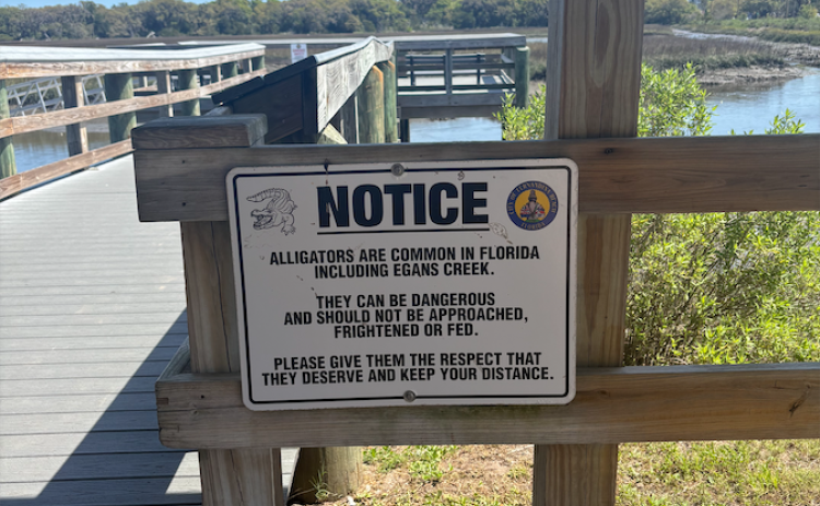 Alligator notice sign at Egan's Creek Park in Fernandina Beach. By Marisa DeMar/News-Leader