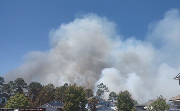 Resident captures photo of thick smoke from the wooded area behind homes in Harbor Concourse. Submitted photo