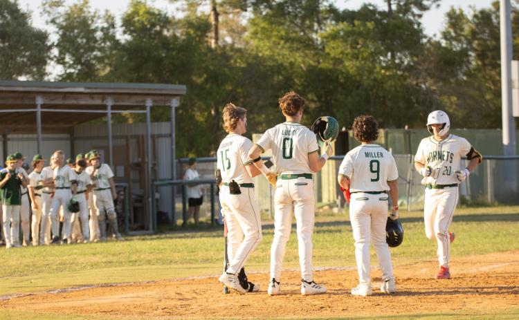 The Hornets celebrate following a three-run homerun by Daylon Adams in Tuesday’s 10-3 district tournament quarterfinal win over Terry Parker.