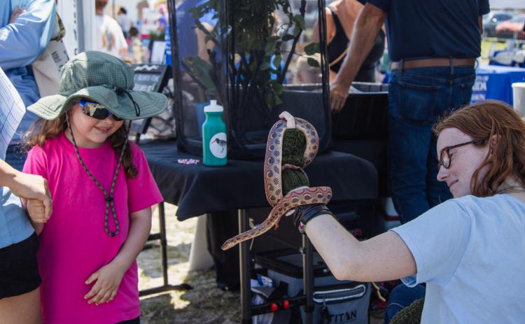 The Wild Amelia Nature Festival Eco Expo and Nassau County's Opening of the Beaches event were held Saturday at Main Beach Park. Photo by Ashley Chandler/News-Leade
