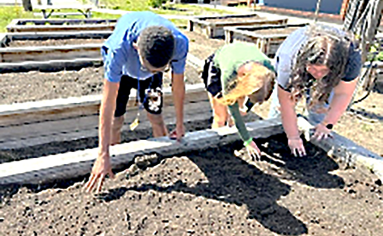 FBMS students plant flowers and vegetables in raised beds to beautify the campus and learn more about plants. Submitted photo