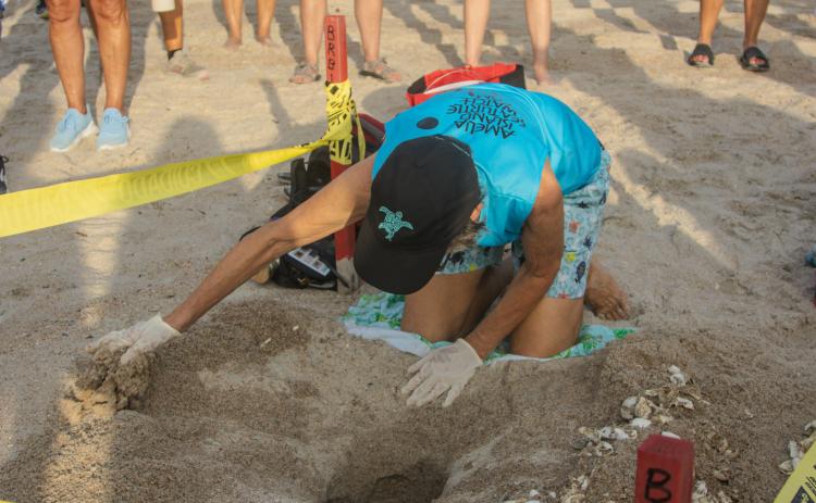 Ronda Bokram excavates a nest Friday. Photo by Ashley Chandler/News-Leader