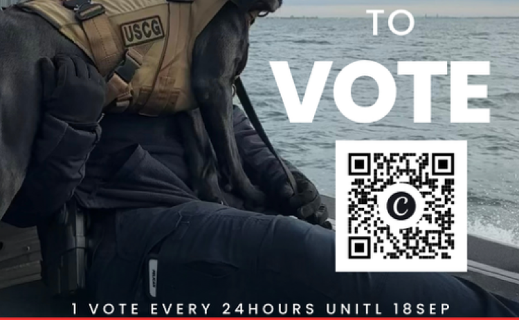 K9 Lea is a finalist in the Military category of The American Humane Hero Dog Awards, which the organization said celebrates 'ordinary dogs that do extraordinary things.' Voting is open until Sept. 18